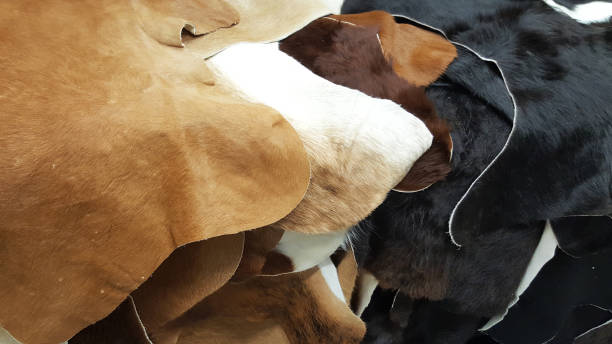 Leather selection collection / stock of leather for customer in design phase of textile manufacturing business